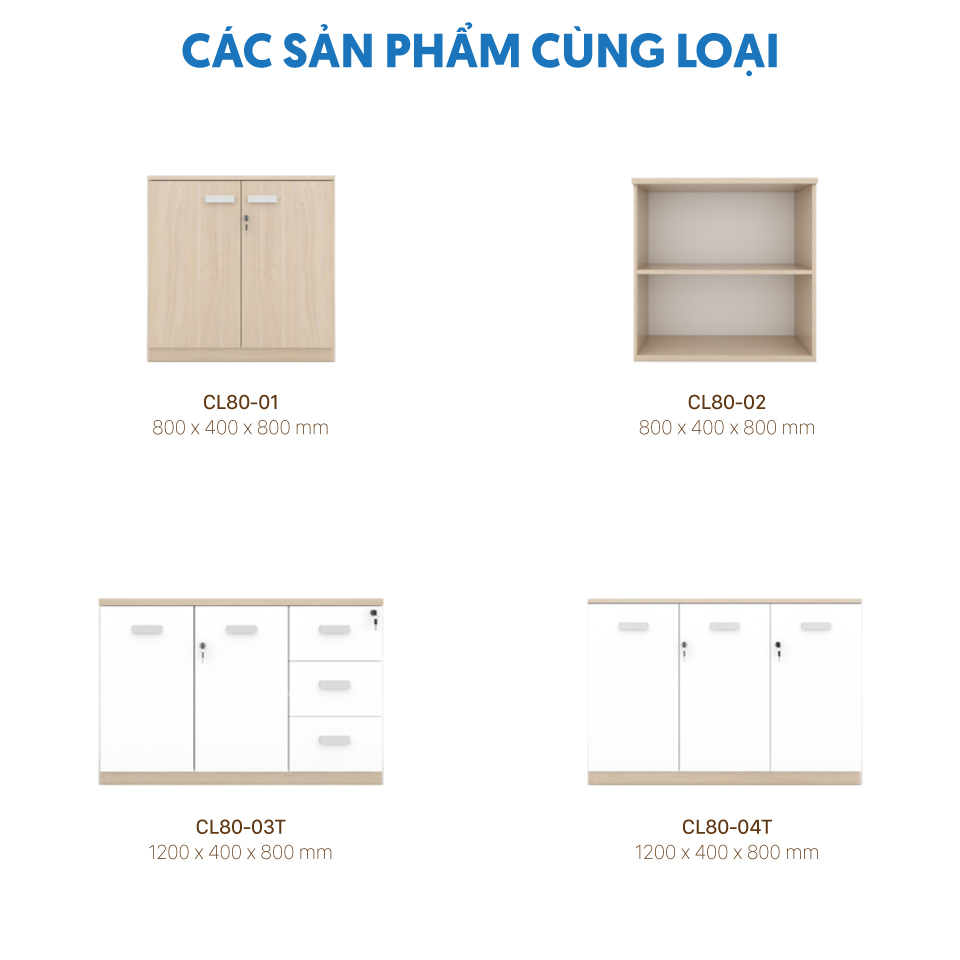Các mẫu tủ tài liệu thấp văn phòng 