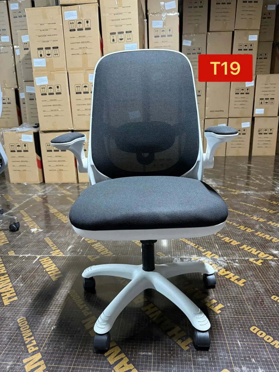 ghe-cong-thai-hoc-t19-tre-trung-tien-nghi-01 Ghế Công Thái Học T19 Trẻ Trung Tiện Nghi Hiện Đại