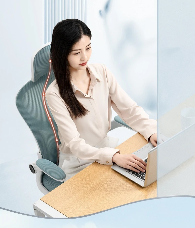 Ghế công thái học làm việc 699 màu đen