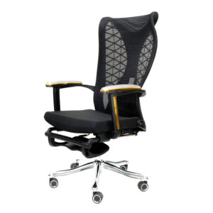 Ghế làm việc công thái học ergonomics chair