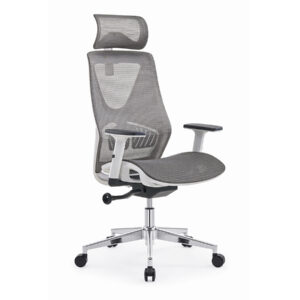 Ghế ghế làm việc công thái học Ergonomi CTH33X