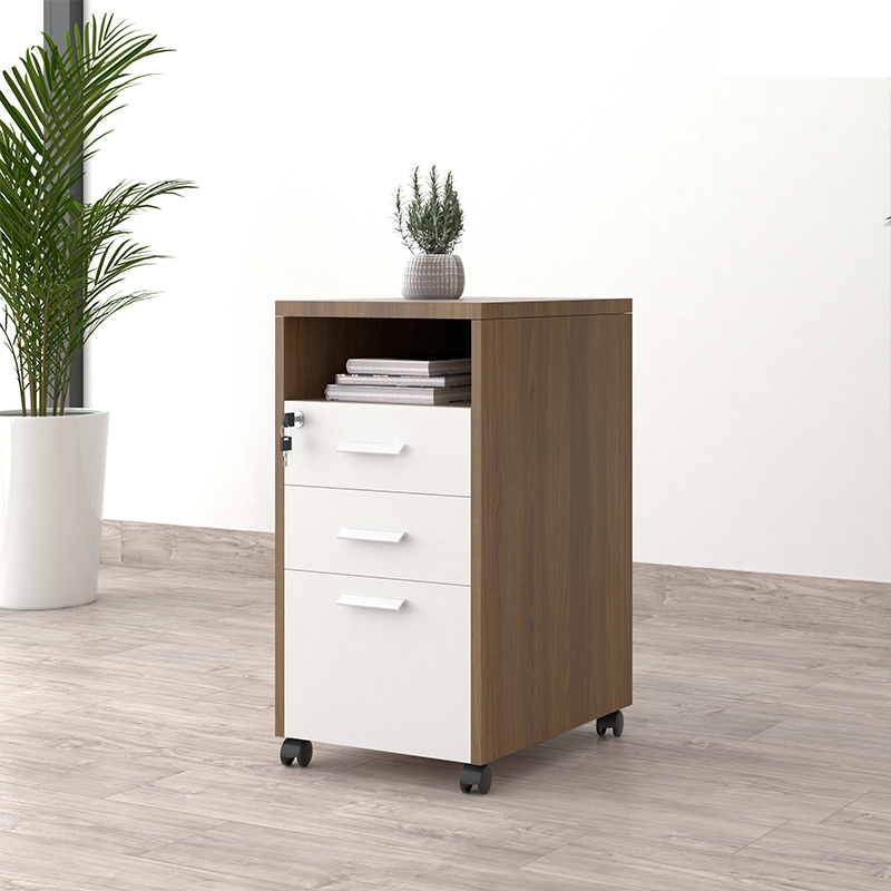 Tủ phụ di động máy in, tài liệu TP12