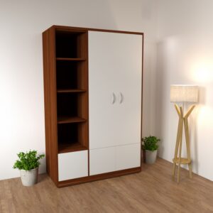 tủ quần áo 2 cánh ngăn chứa đồ màu 6041