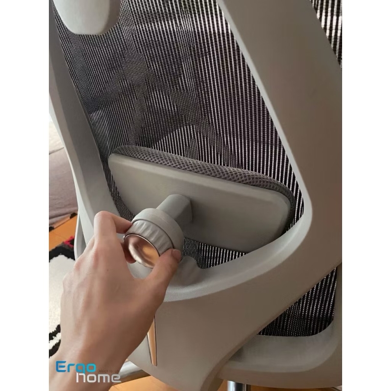 Ghế Công Thái Học Cao Cấp GX46 Hỗ Trợ Cột Sống Tối Ưu